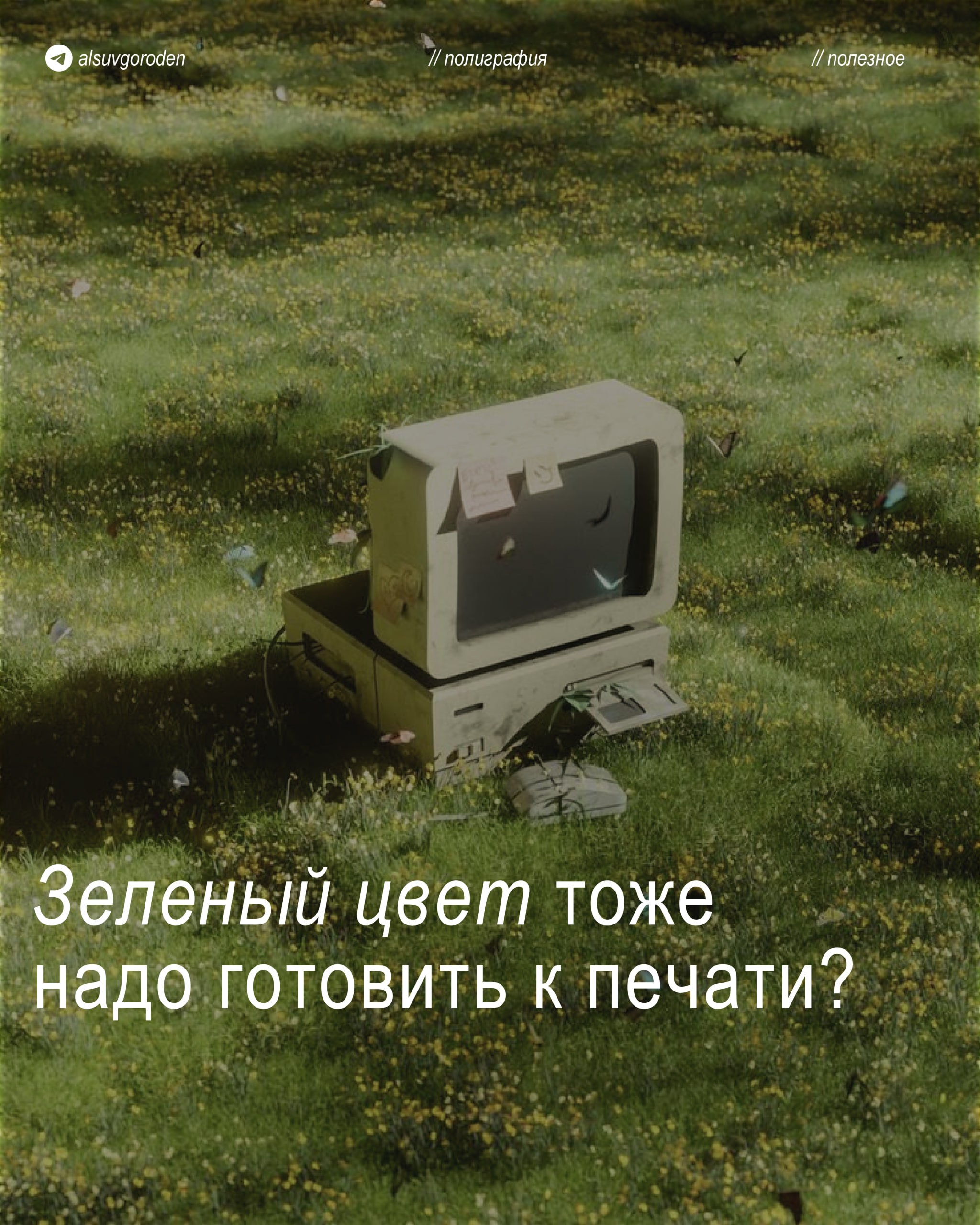 Старый компьютер в летнем поле с бабочками и вопросом о подготовке зеленого цвета к печати
